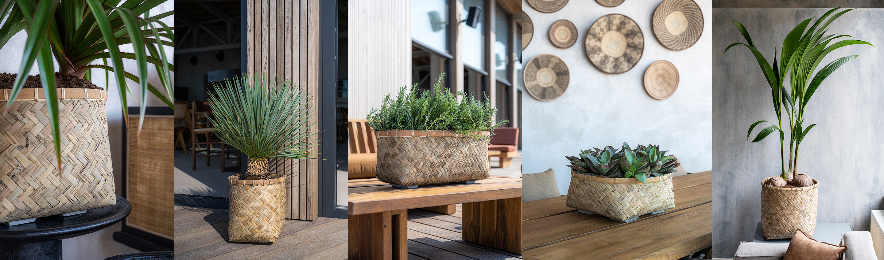 Redesign || (US) Blogs - Bohemian (229)