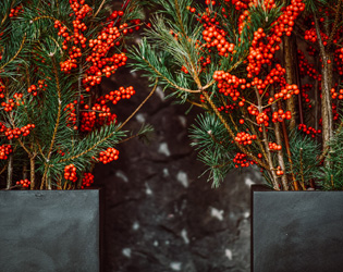 Les tendances de Noël 2024 pour des fêtes de fin d'année pleines de style