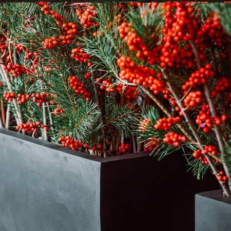 Redesign || (EU) Blogs - Christmas trends2024 - E1008-H50-01 (253)
