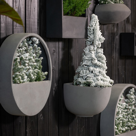 Redesign || (EU) Blogs - Christmas trends2024 - Wally wall (251)
