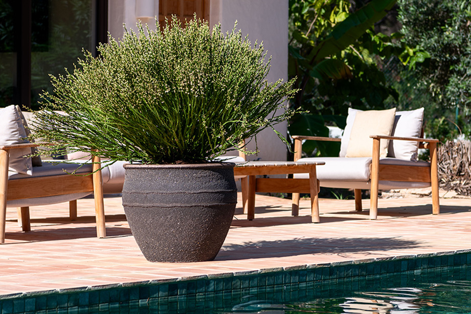 Pots en argile pour plantes : aspect naturel, qualité moderne | Pottery Pots