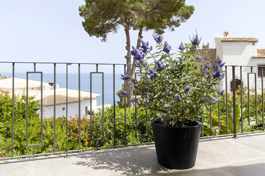 La tendance des jardins méditerranéens