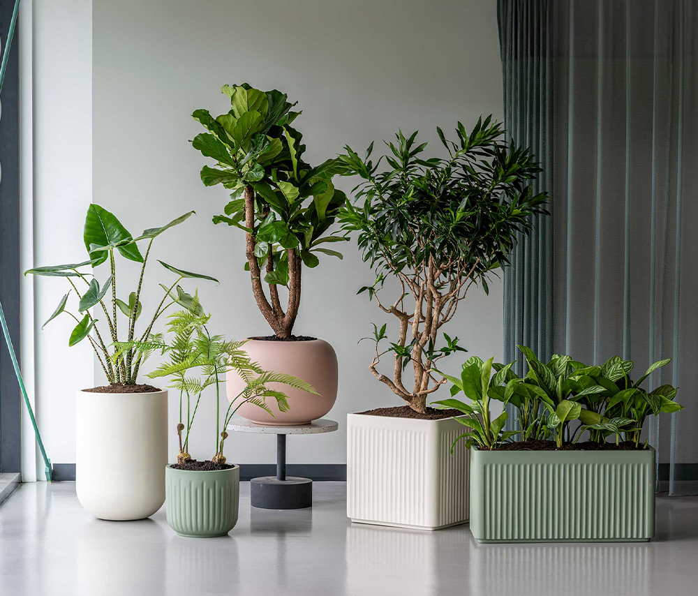 La collection Elemental