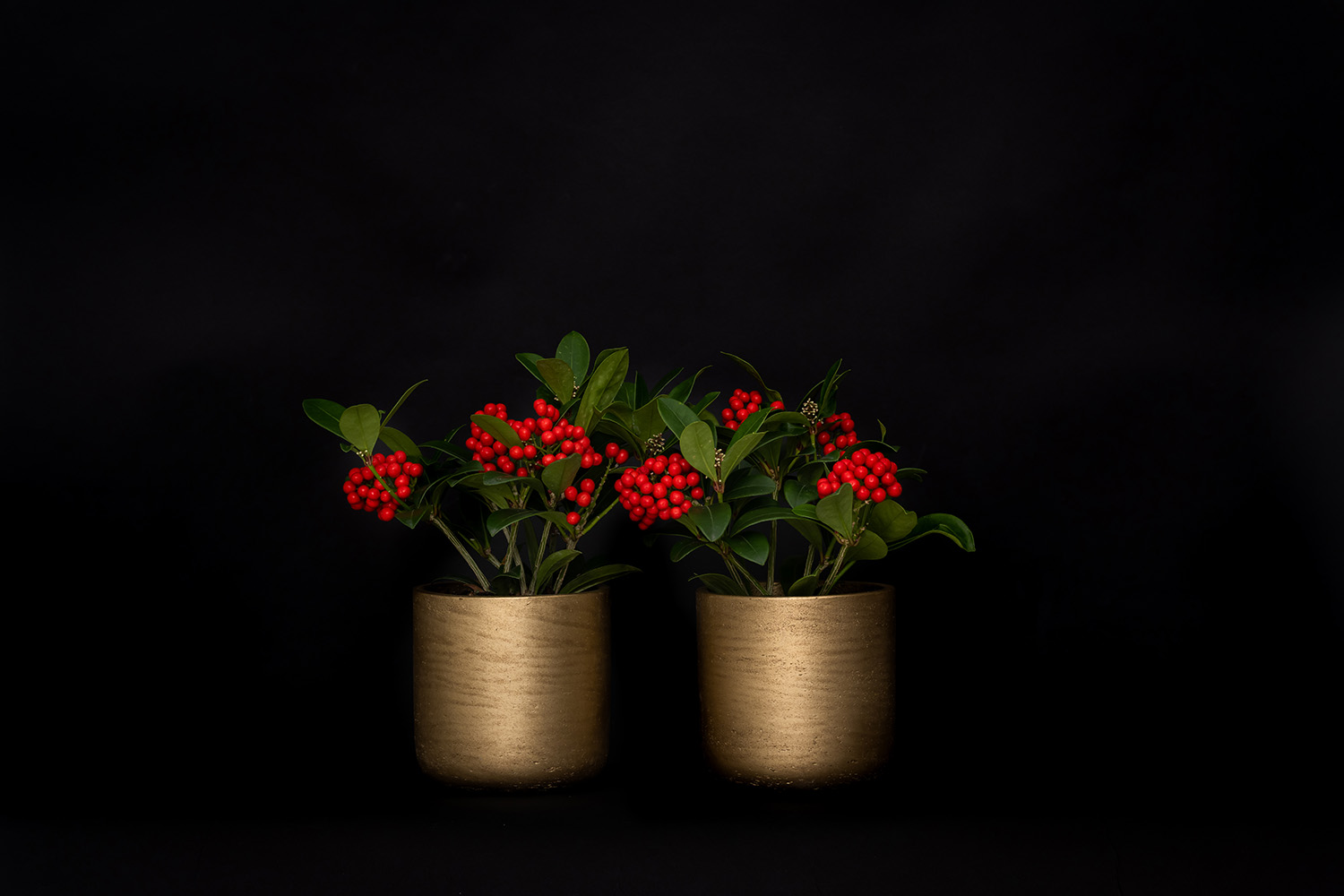 Redesign || (US) Blogs - Christmas trends2024 - P3024-11-41 (255)