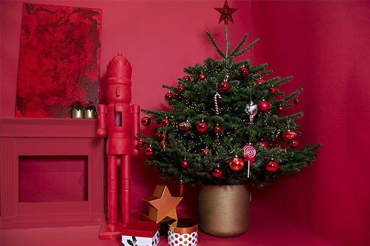Tendances décoration de Noël 2023 pour les pots de fleurs