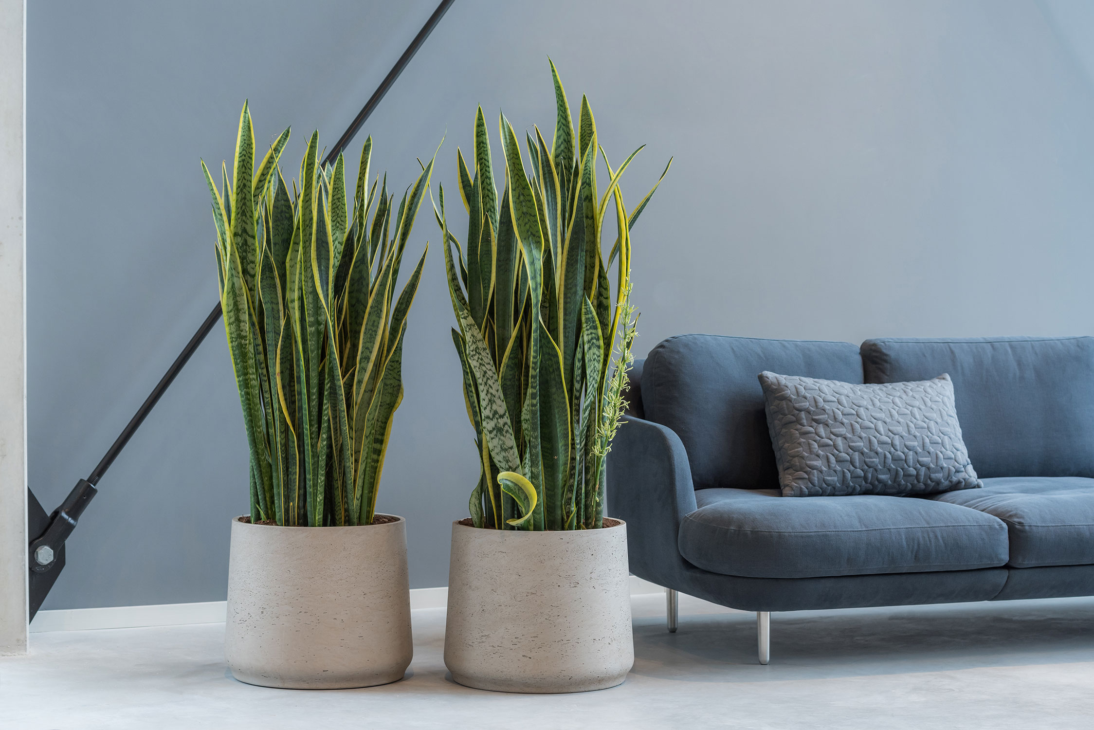 Redesign || (EU) Blogs - Waarom fiberclay?