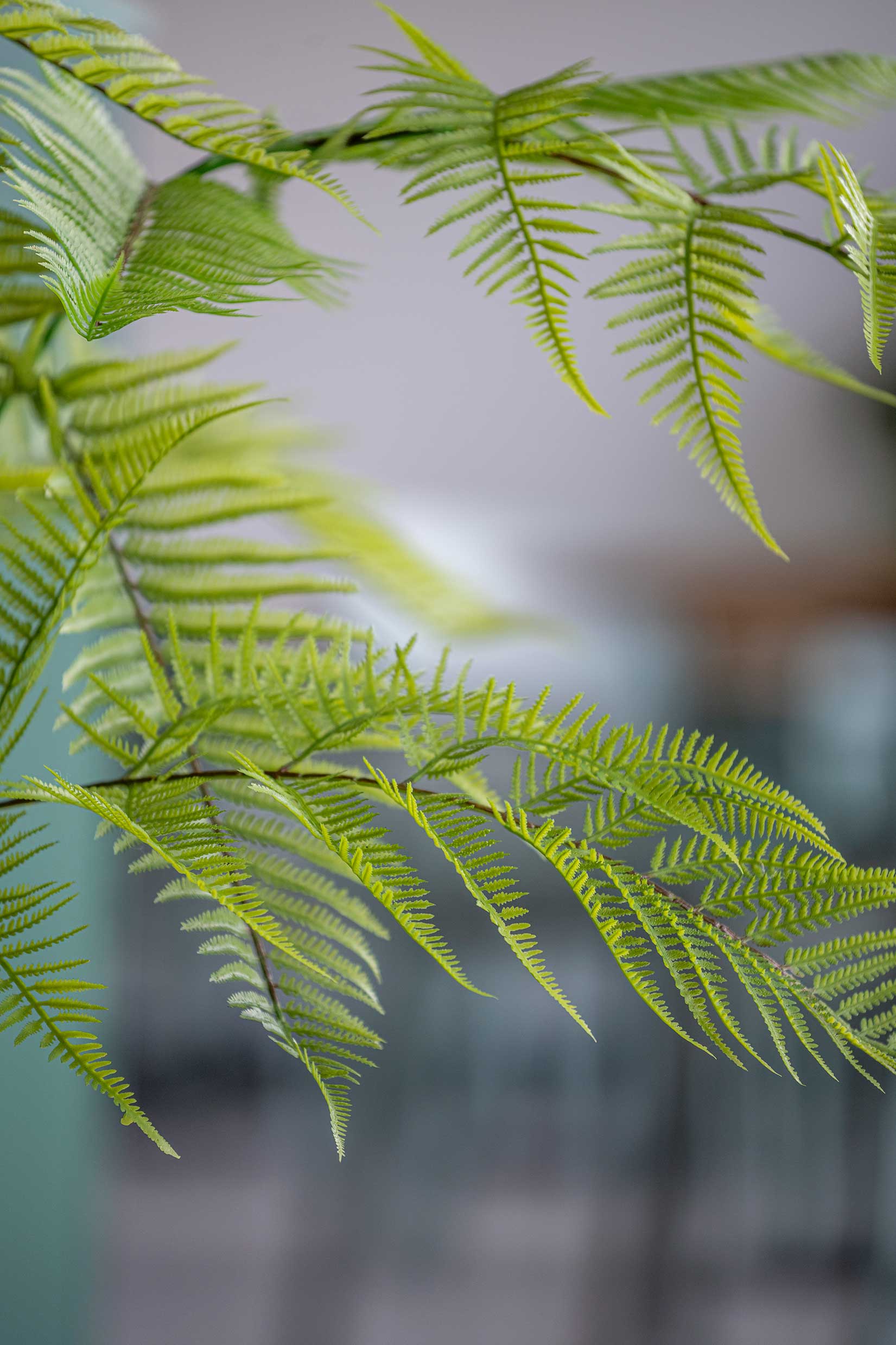 Fausses plantes à l'aspect réel pour l'intérieur et  | Pottery Pots