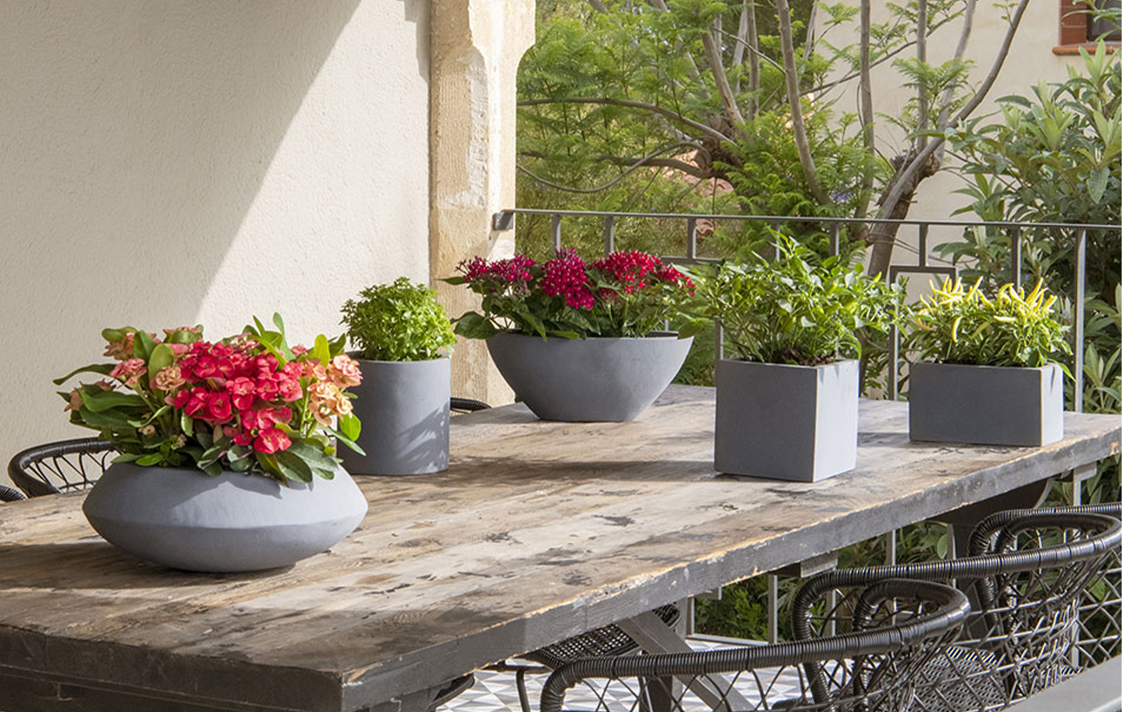 Les pots de fleurs dans les restaurants : bien plus qu'une simple décoration