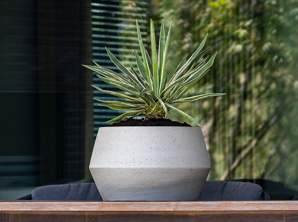 Pottery Pots Cement & Stone collection