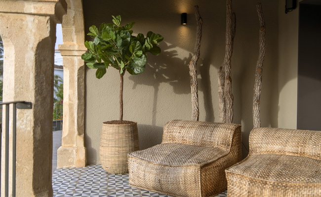 Artificial Plants