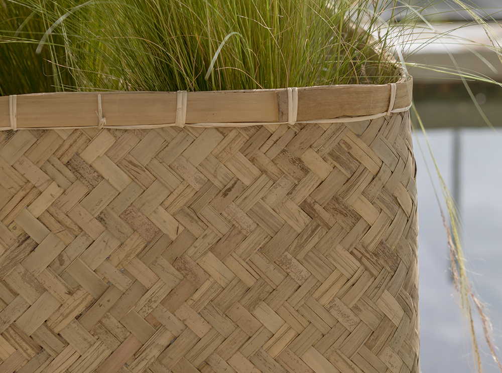 Pottery Pots Bamboo