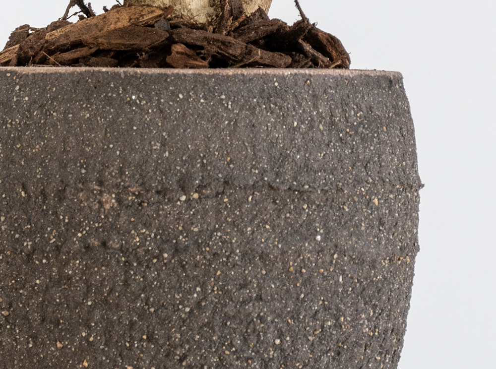 Pottery Pots Ficonstone