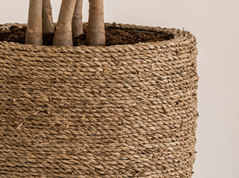 Pottery Pots Straw grass