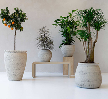 Pottery Pots Mediterranean collection