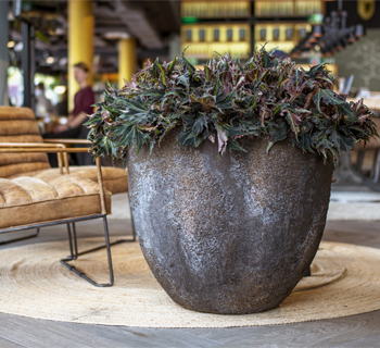 Tendances jardinage 2023
