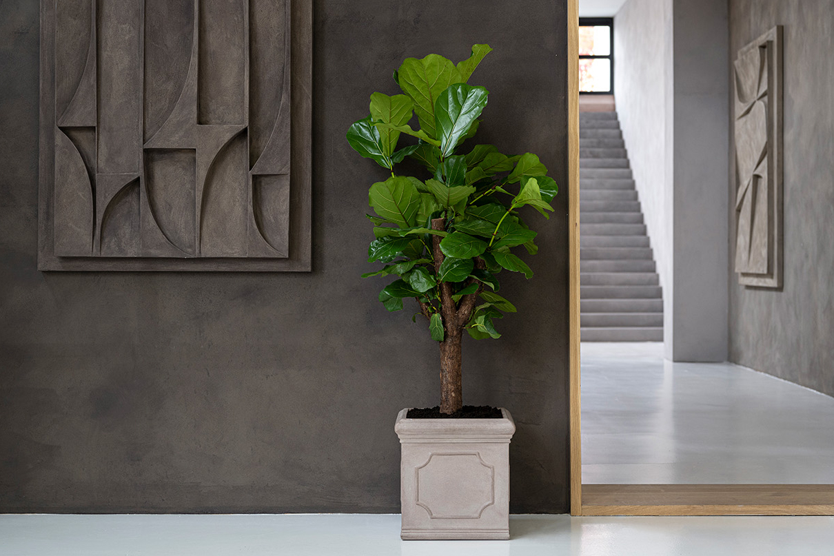 Pourquoi les jardinières classiques sont indispensables ! | Pottery Pots