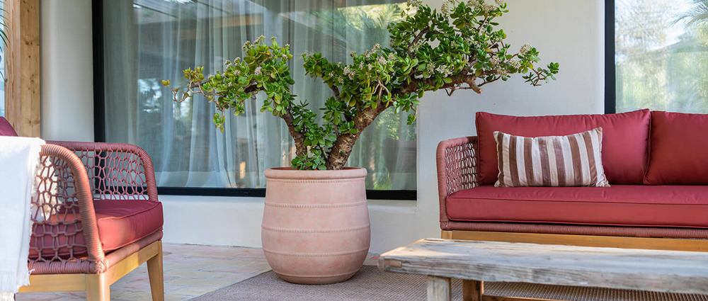 Pot de fleurs haut de gamme : un atout pour l'intérieur et l'extérieur | Pottery Pots