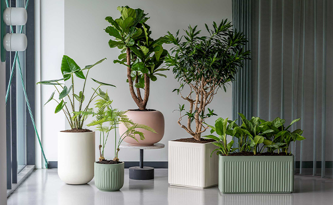 De la fiberstone à la céramique : quel matériau vous convient ? | Pottery Pots