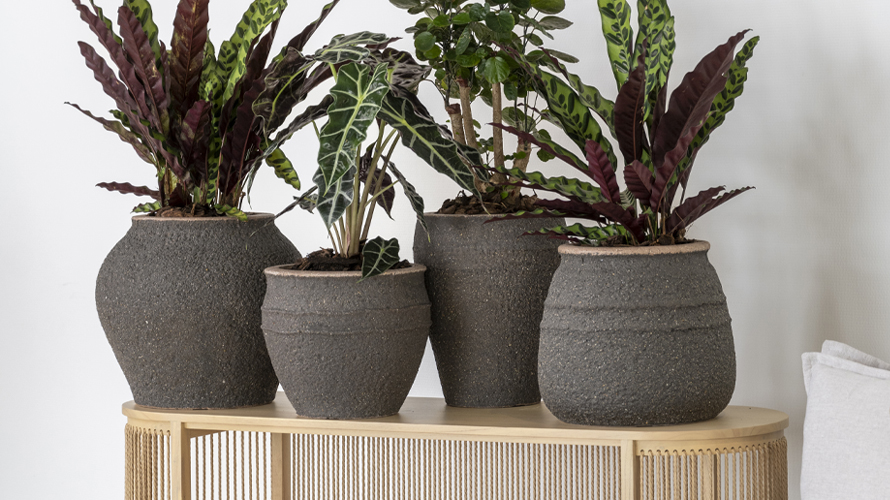 From fiberstone to bamboo: which material suits you?