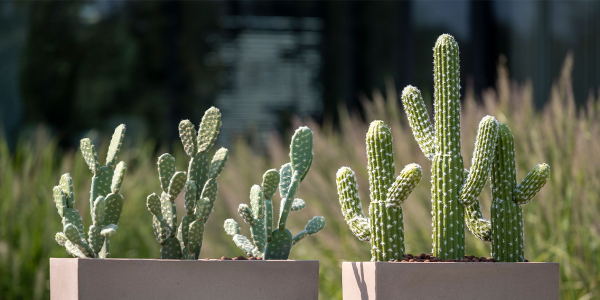Des plantes artificielles réalistes pour tous les espaces  | Pottery Pots