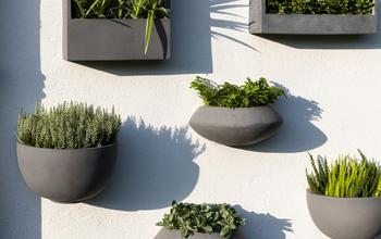 Mur végétal: découvrez le jardinage vertical