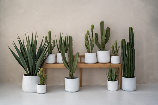 Les avantages des plantes artificielles