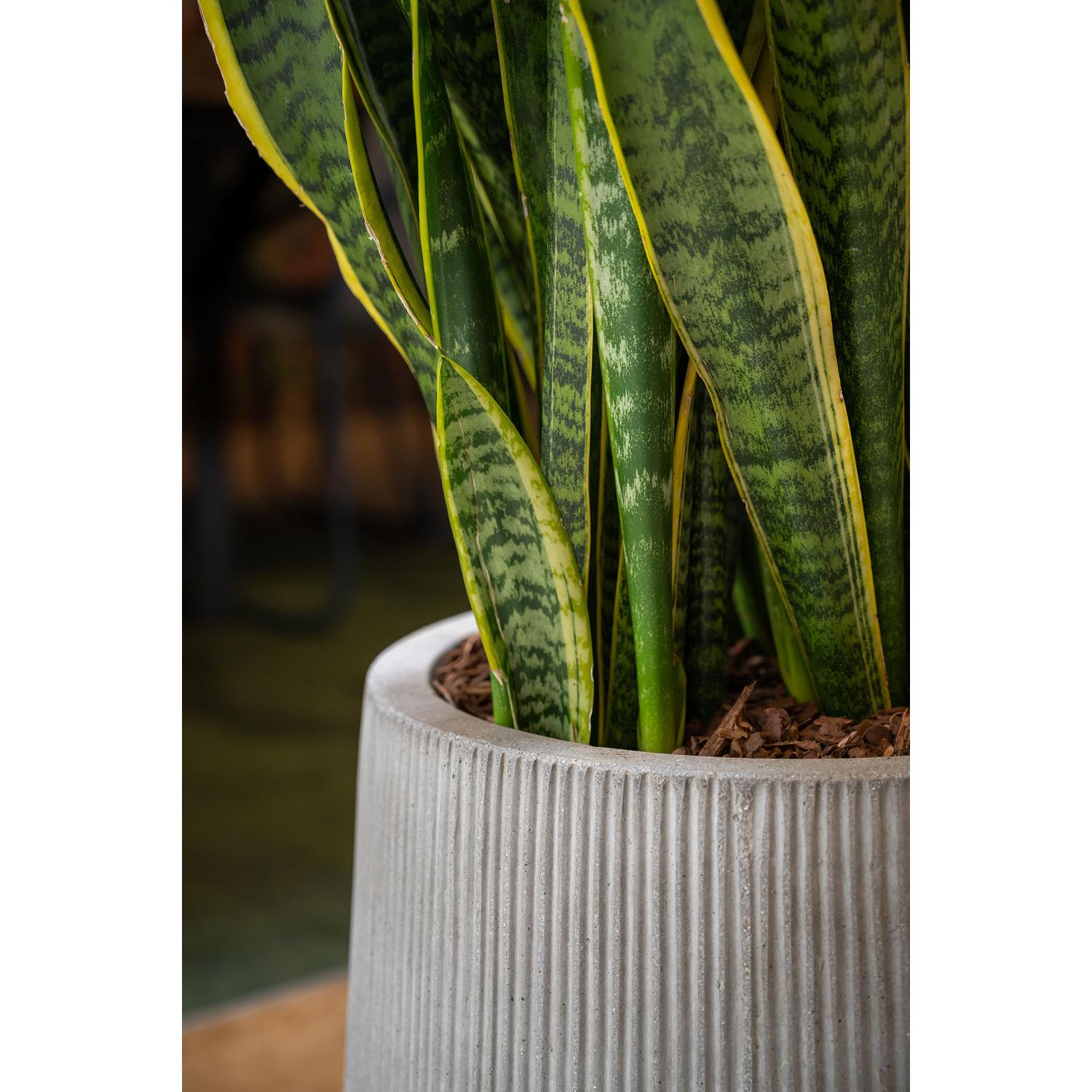 Patt high M, Light Grey (vert ridg)