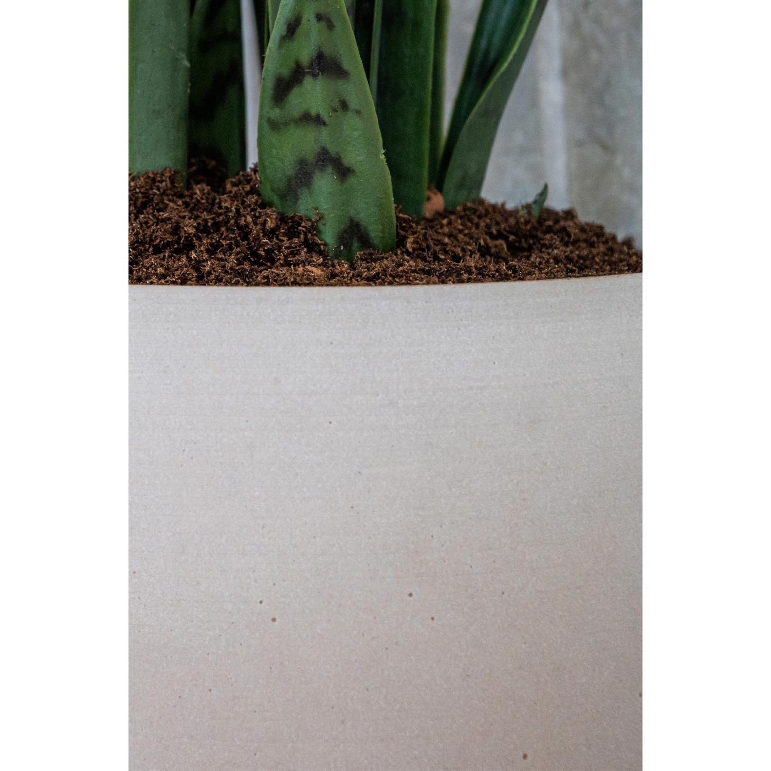 Bucket S, Natural White