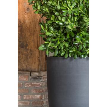 Bucket S, Volcano Black