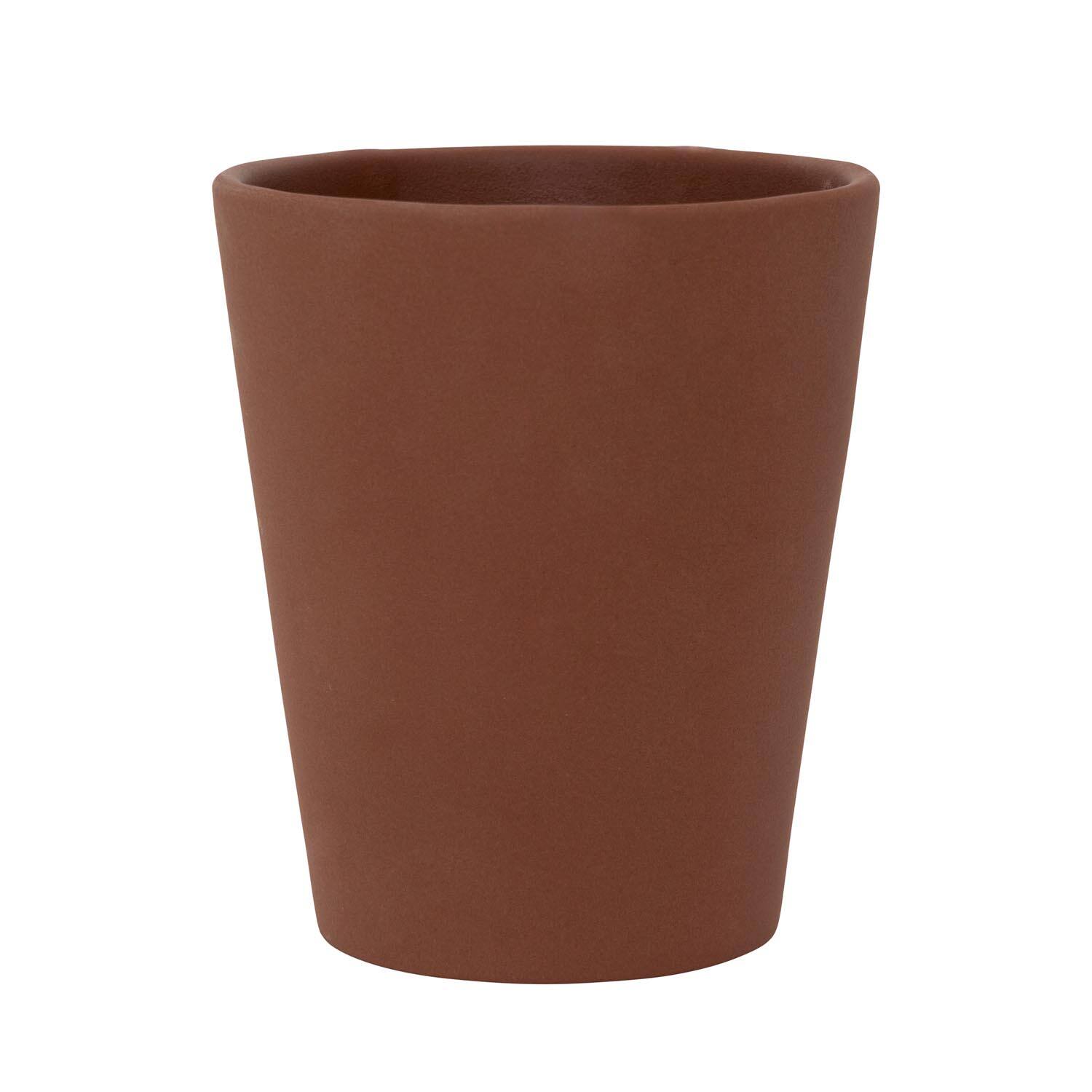 (S) Rosa M, Pecan Brown