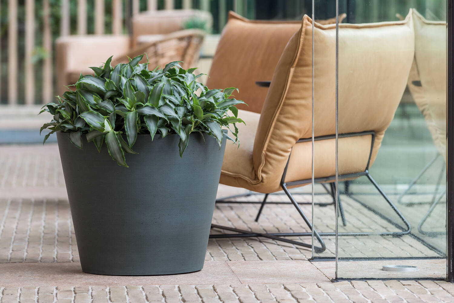 Bucket M, Pine Green