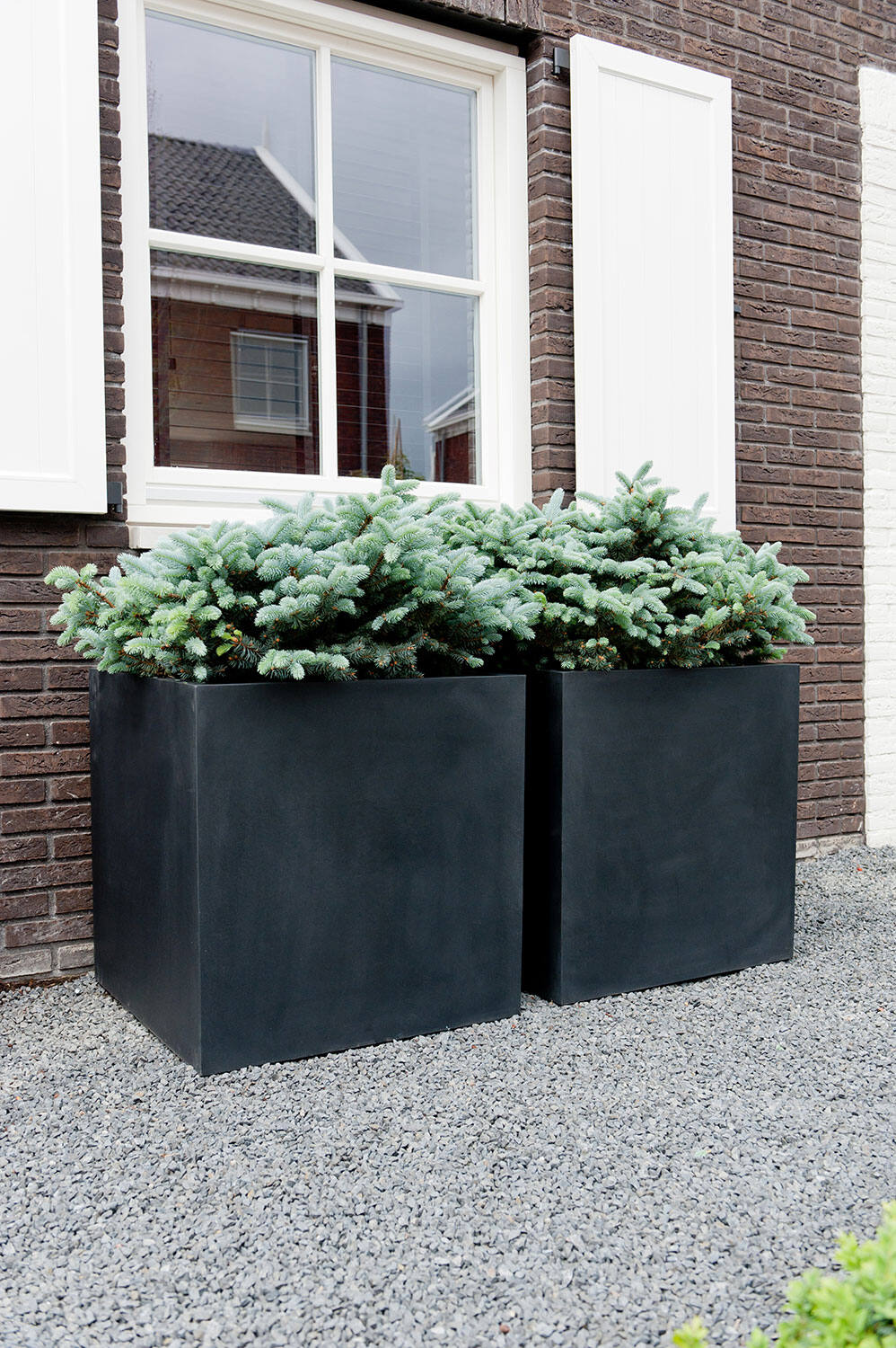 Block M, Black