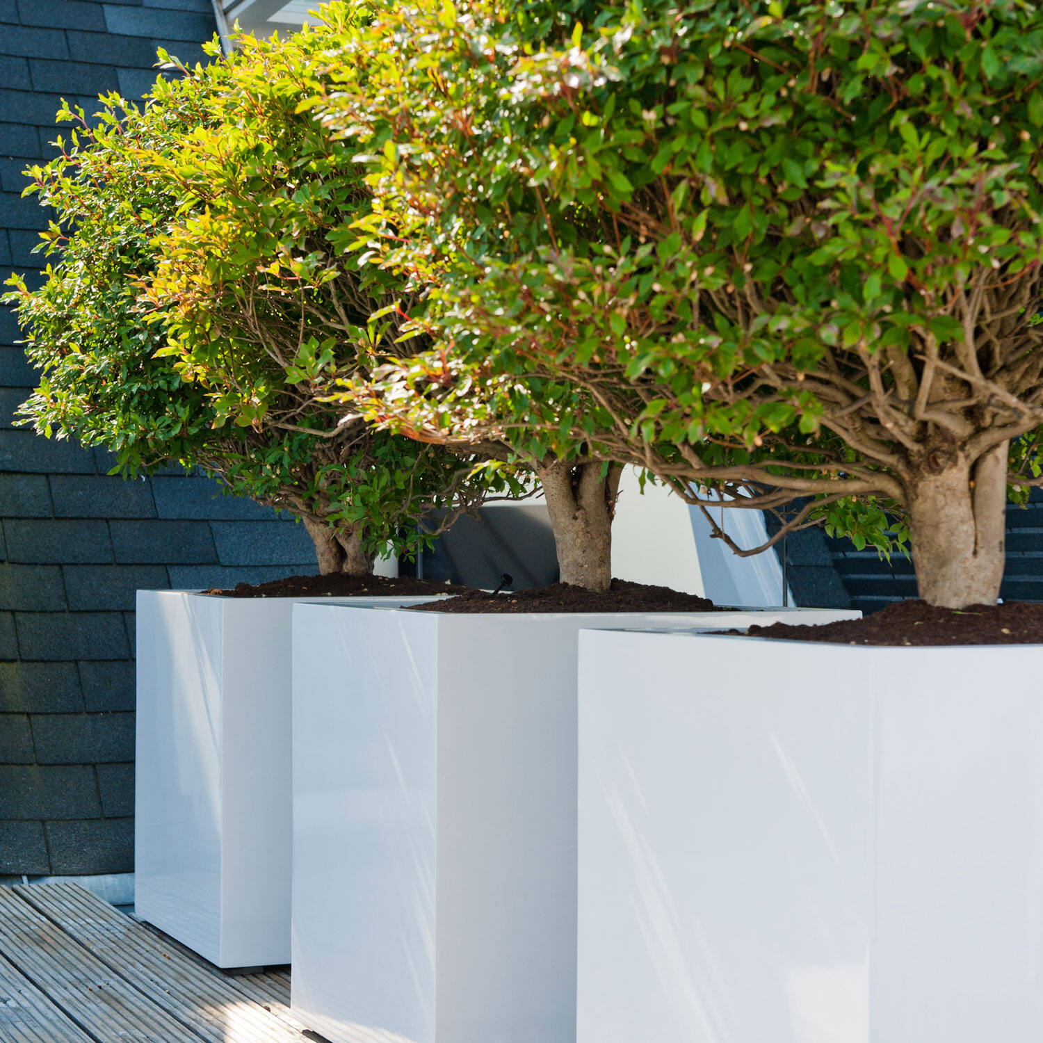 Block XL, Glossy White