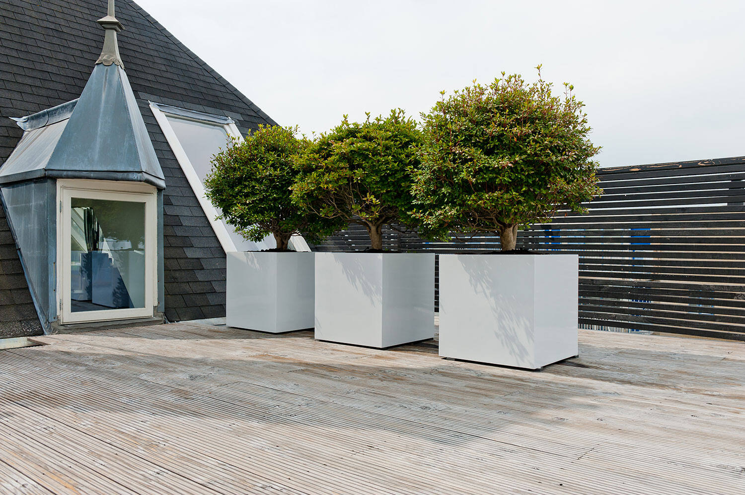 Block XL, Glossy White