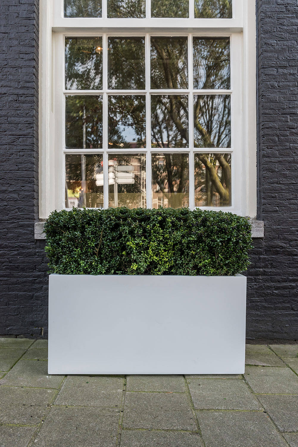 Jort M, Matte White