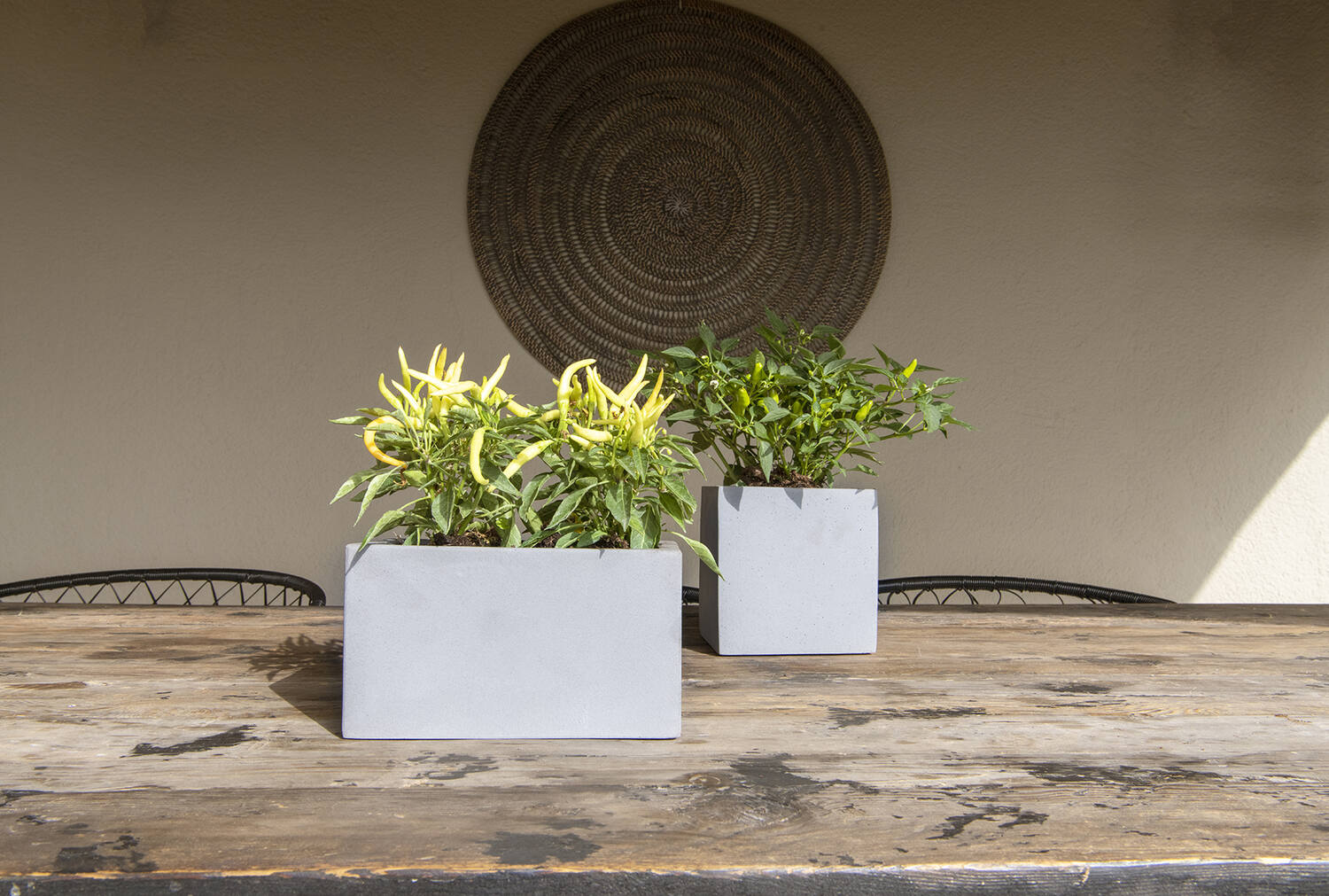 Fleur S, Grey