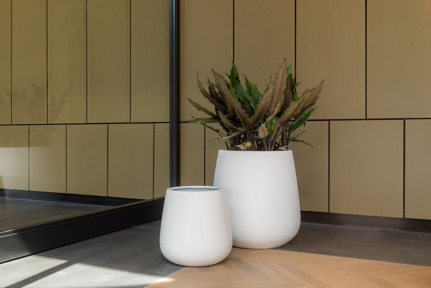 Pax M, Matte White
