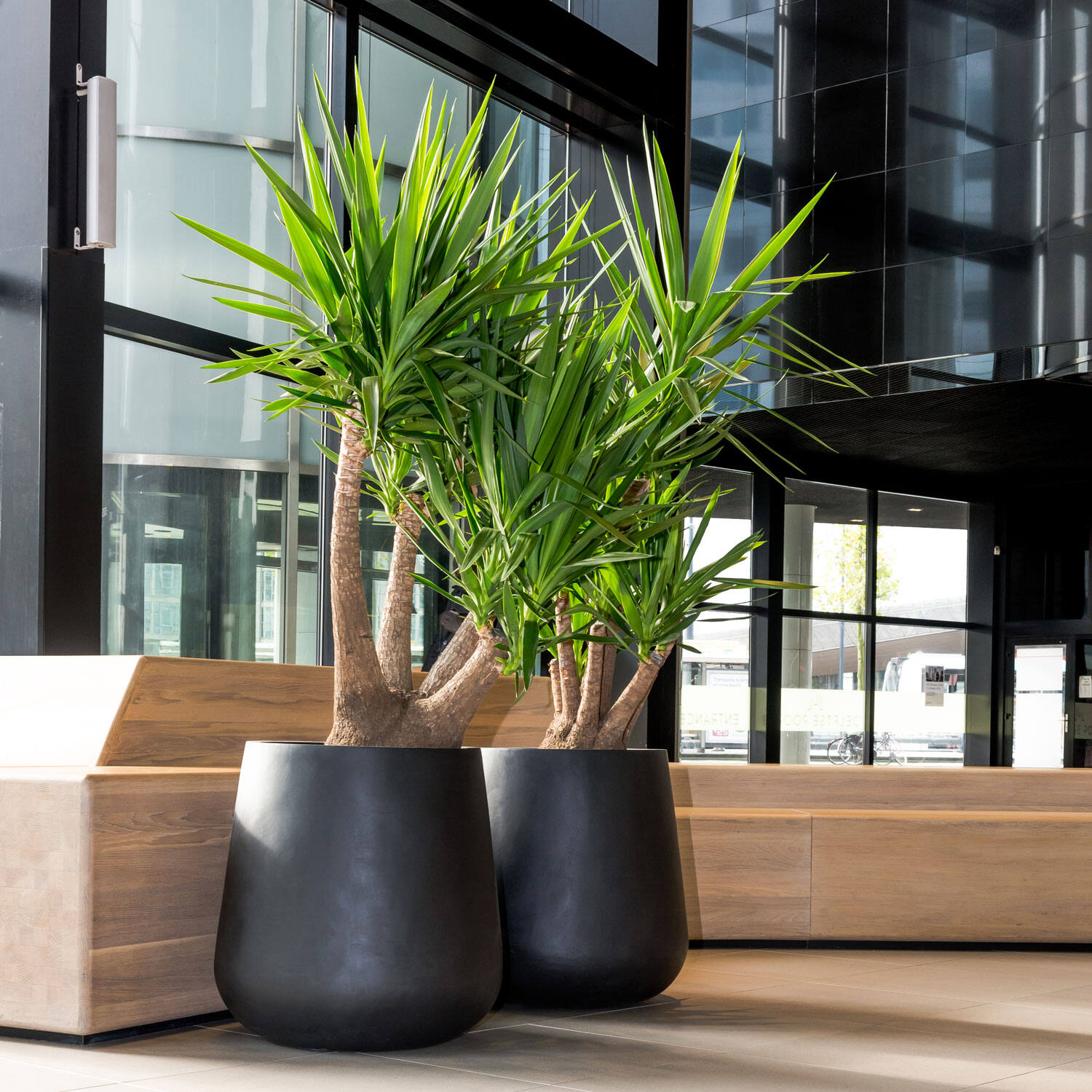 Pax XL, Black