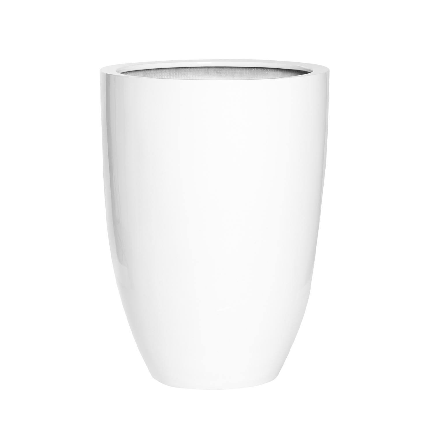 Ben L, Glossy White