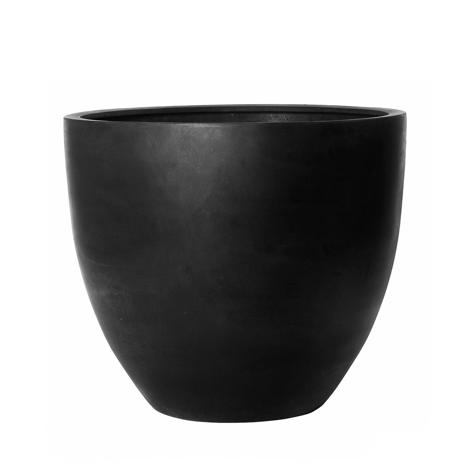 Jumbo Jesslyn S, Black
