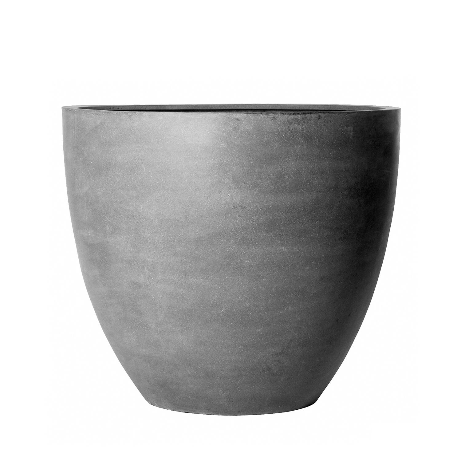 Jumbo Jesslyn S, Grey