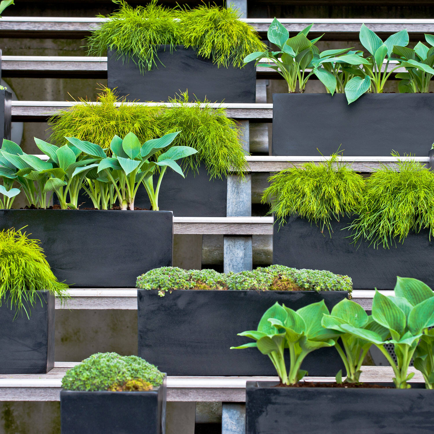 Balcony S, Black