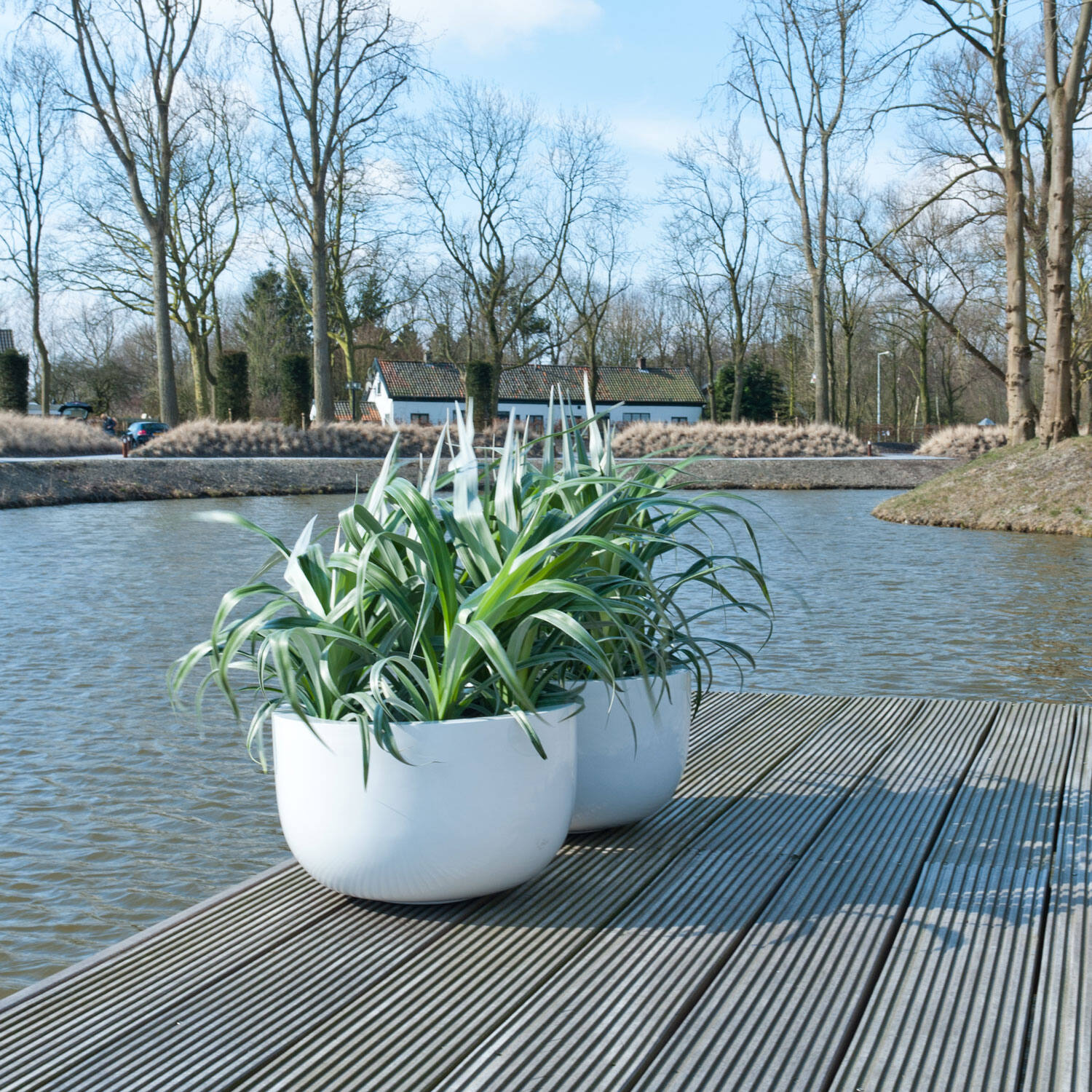 Sunny M, Glossy White