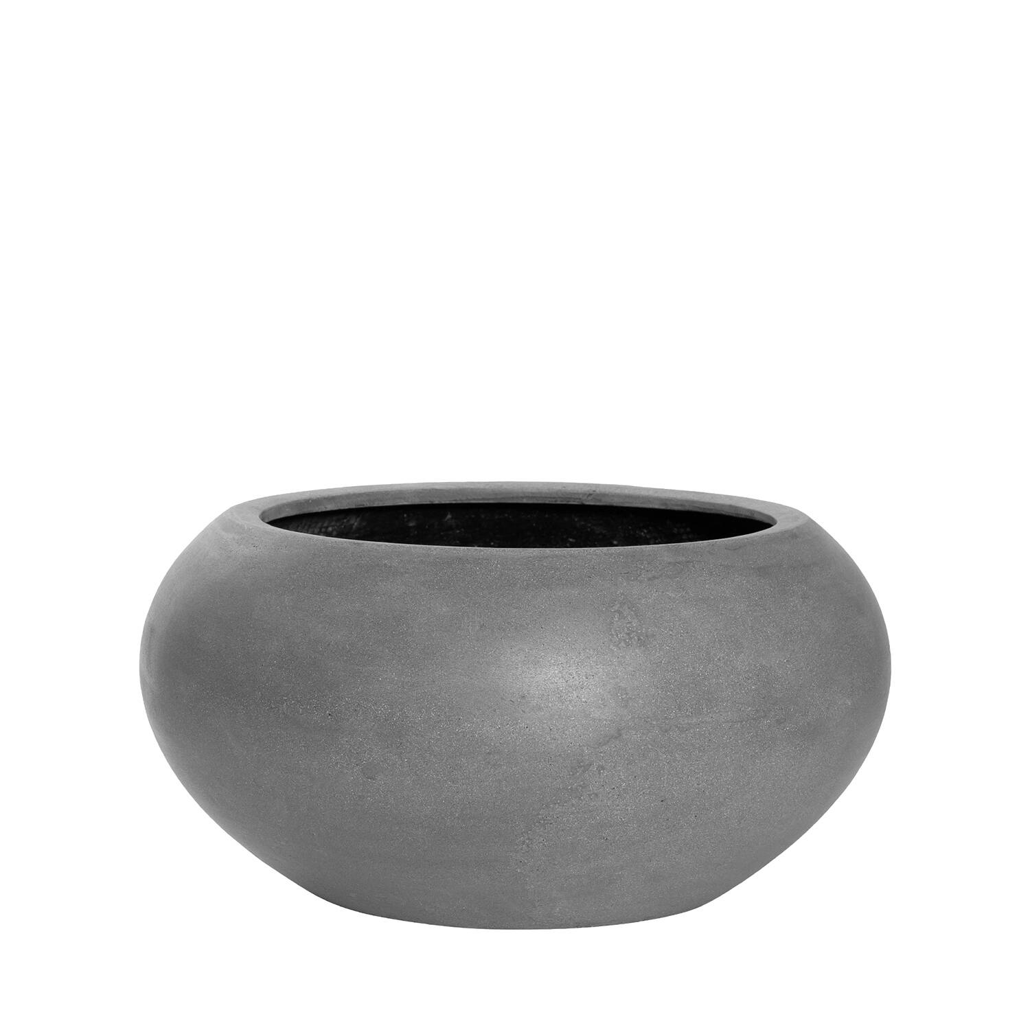 Cora S, Grey
