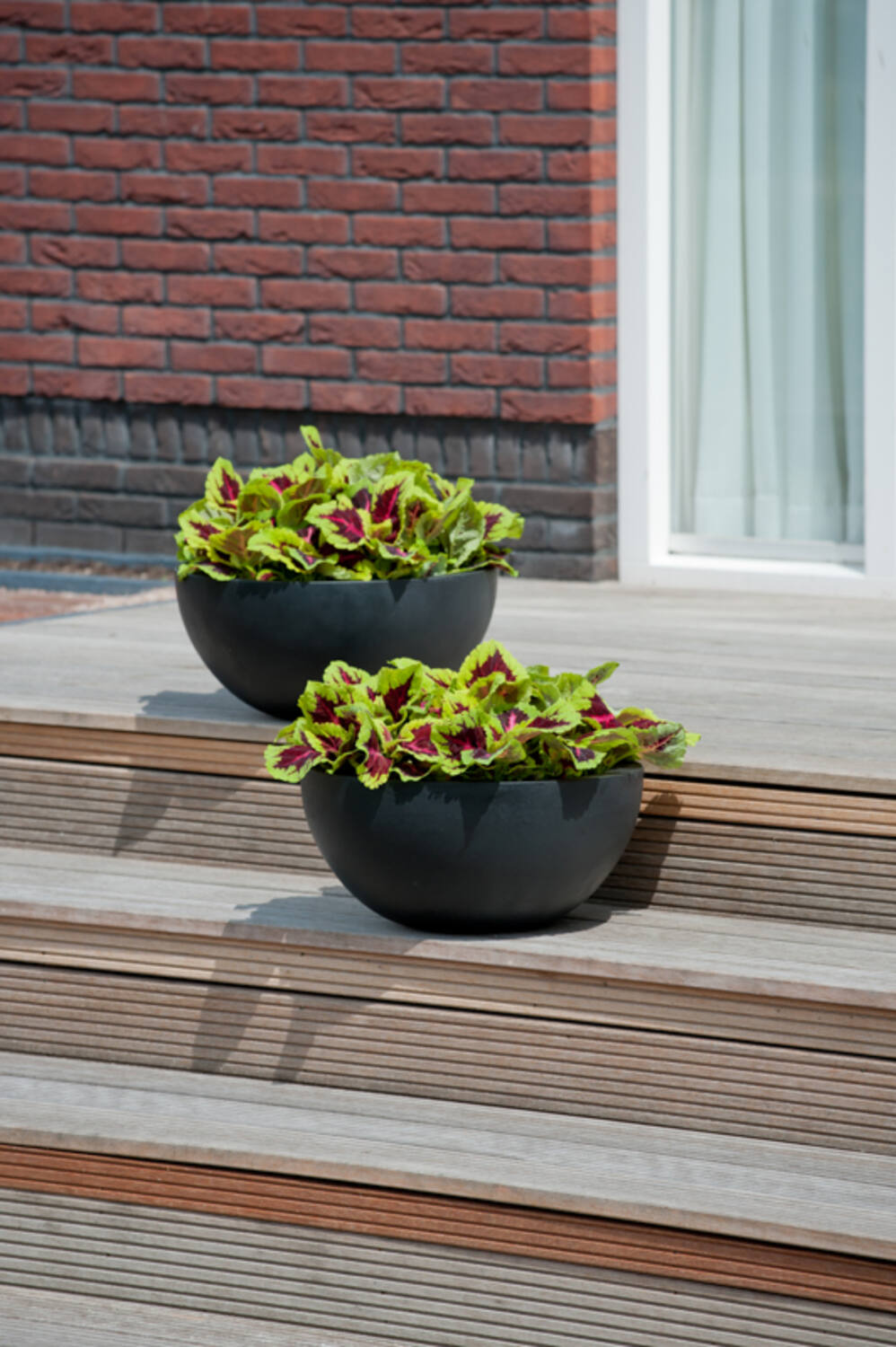 Vic Bowl L, Black