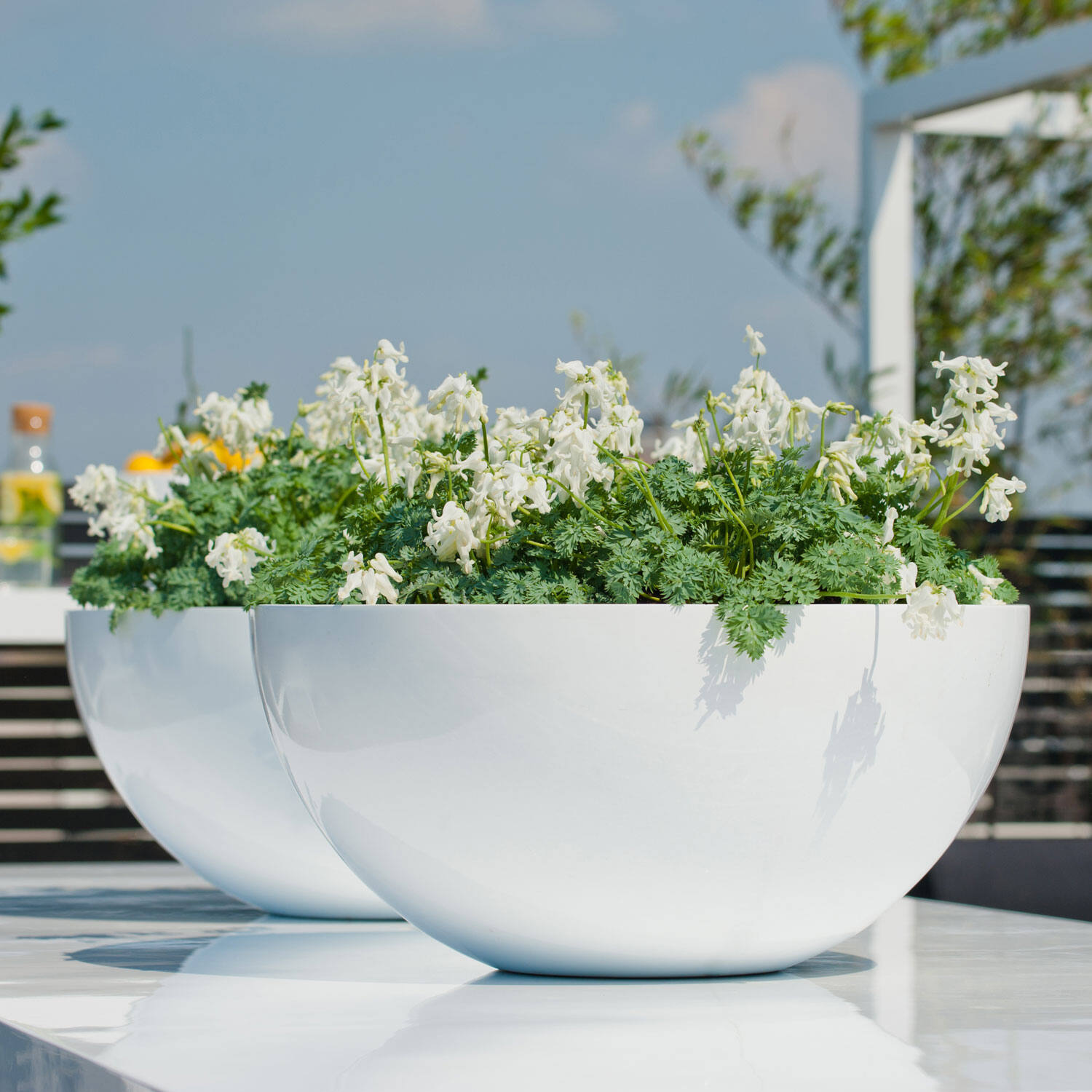 (S) Vic Bowl L, Glossy White