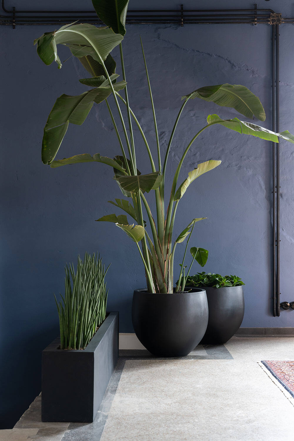 Orb M, Black