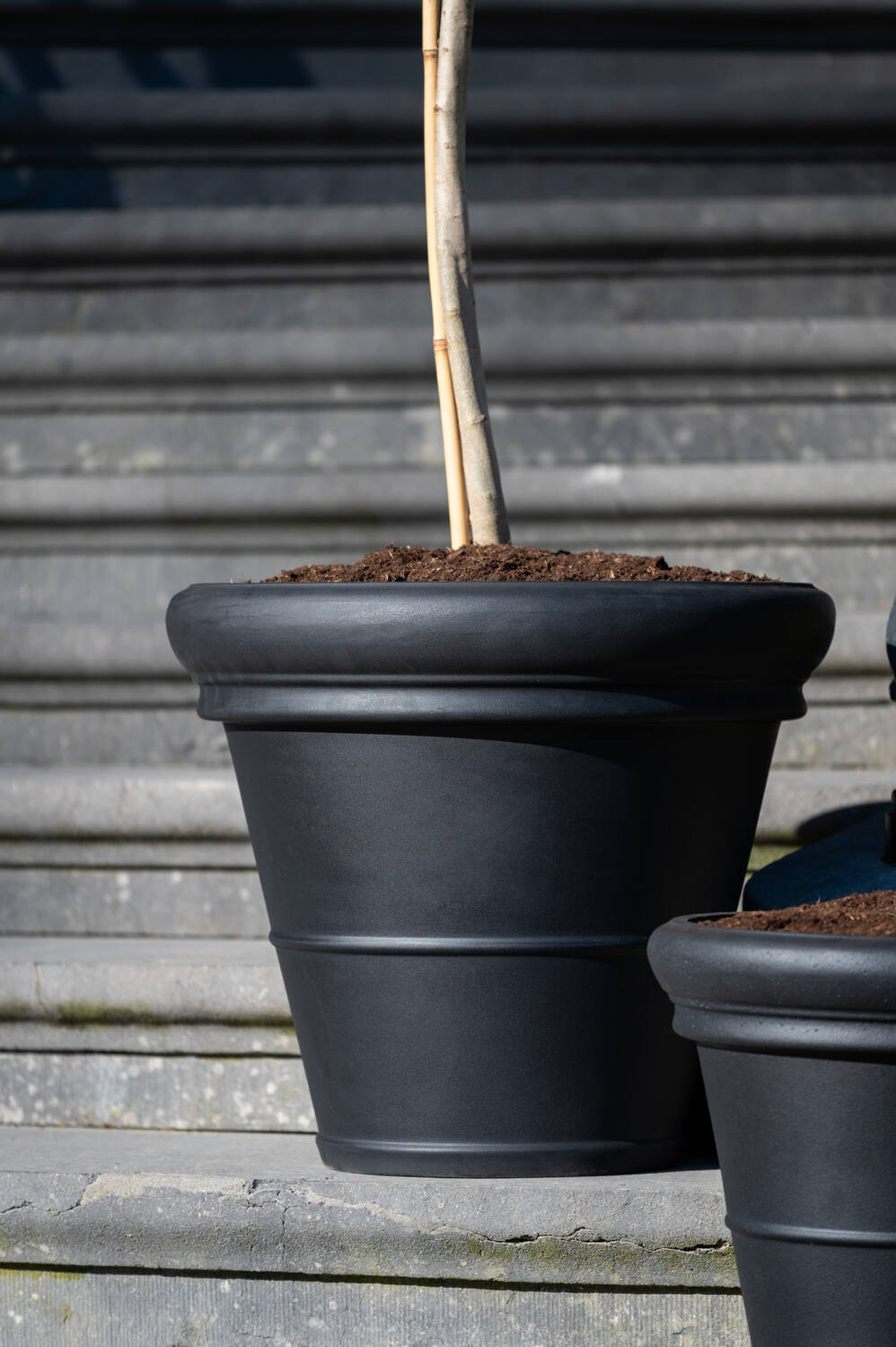 Bucket Low Classic S, Black