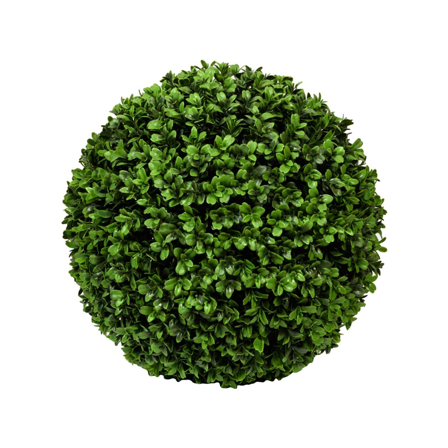 Boxwood Round XXS, Green
