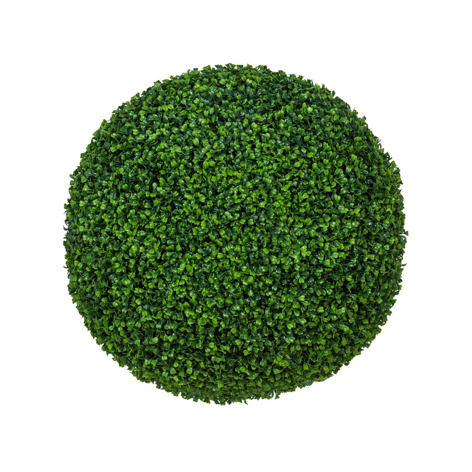 Boxwood Round S, Green